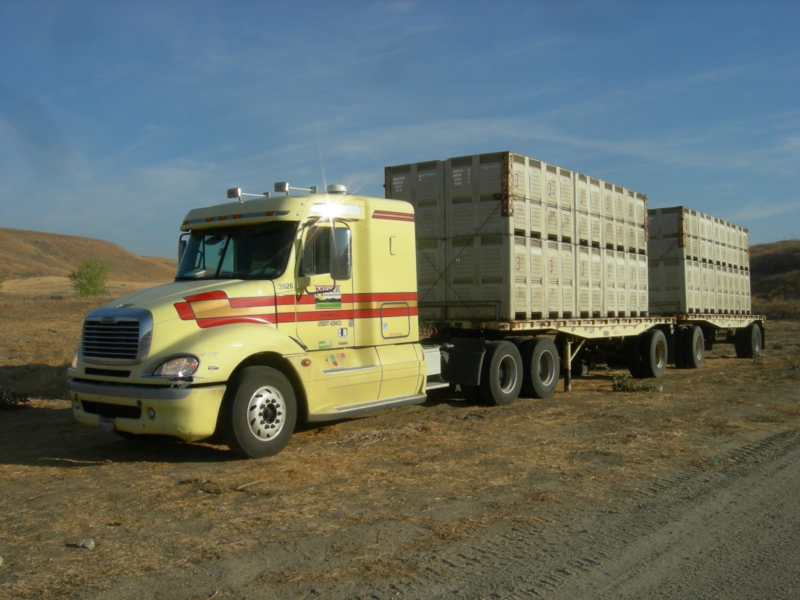 Eclectic Arcania Hauling The Wine Grape Harvest