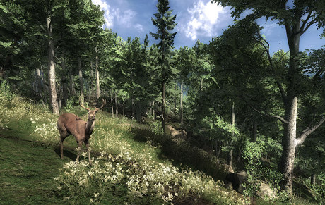 The Hunter - Image du Jeu
