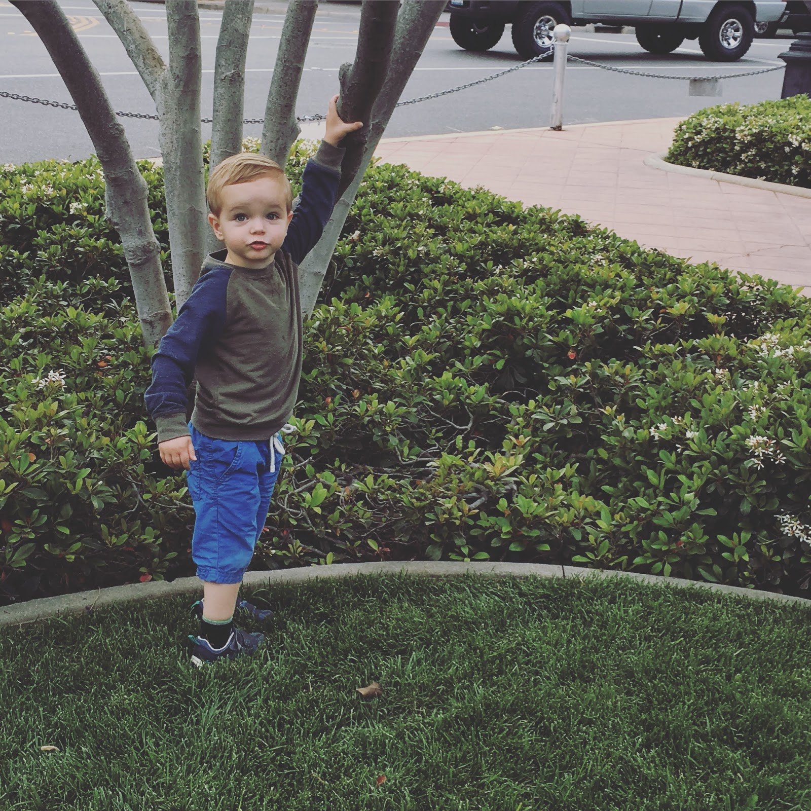 halló tré og bíódeit // hello tree and a movie date