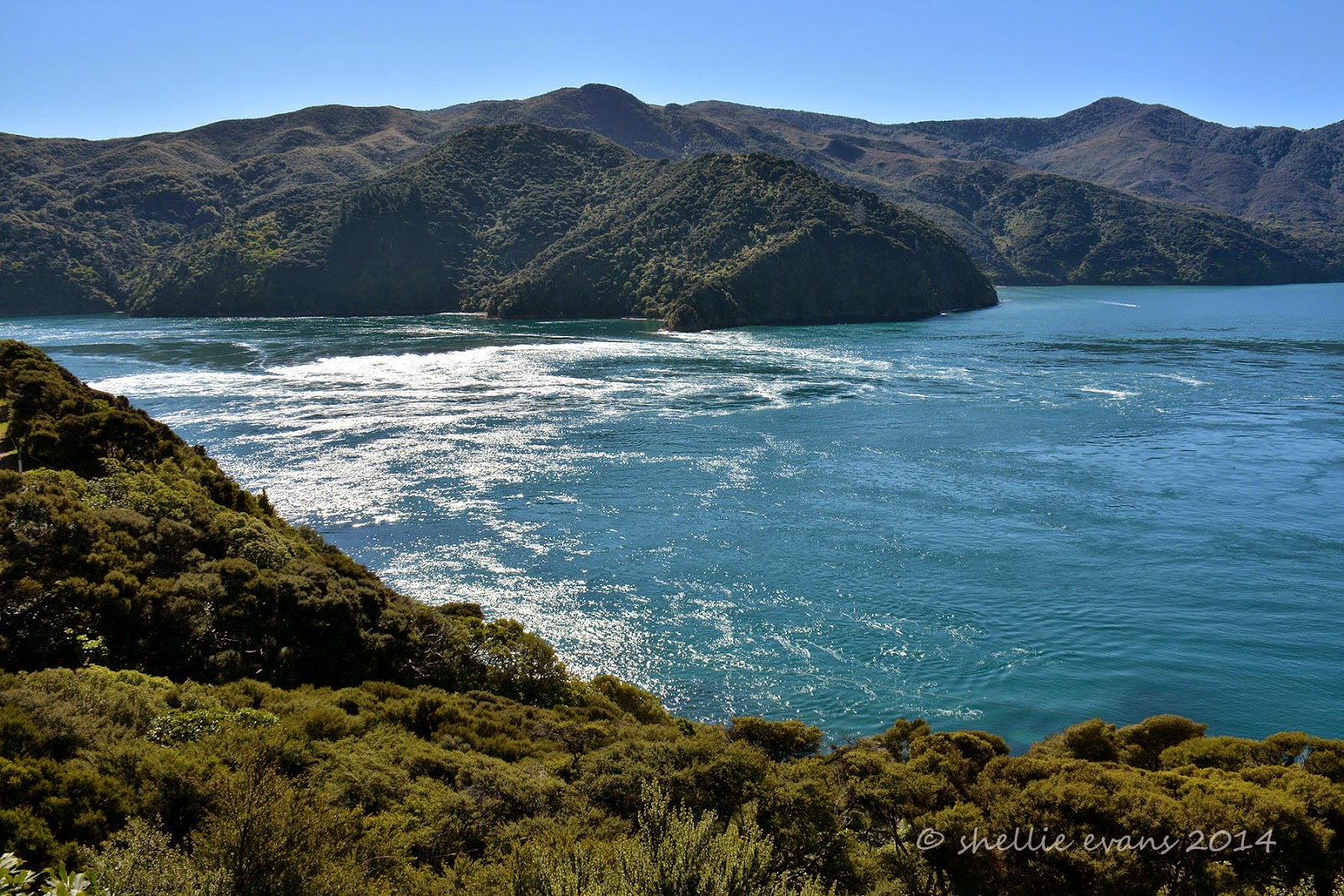 Two Go Tiki Touring The Road to French Pass
