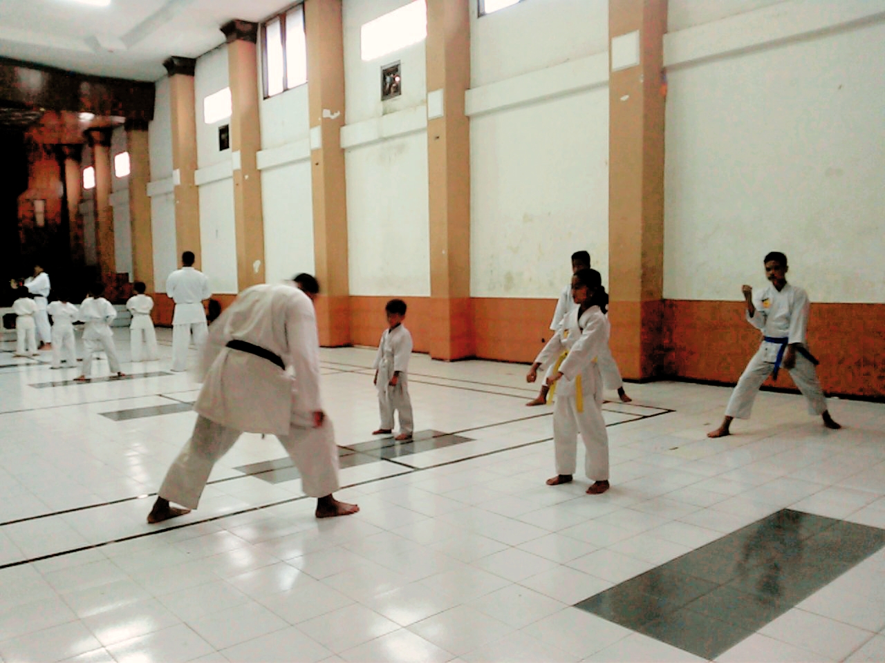 Каратэ Dojo