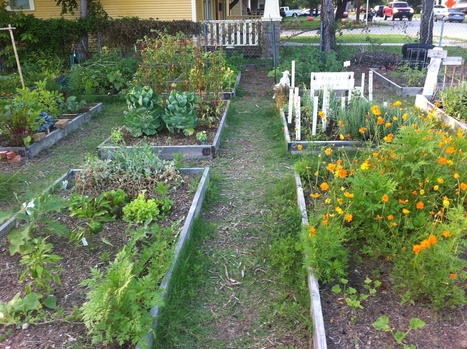 Fort Worth's Community Gardens