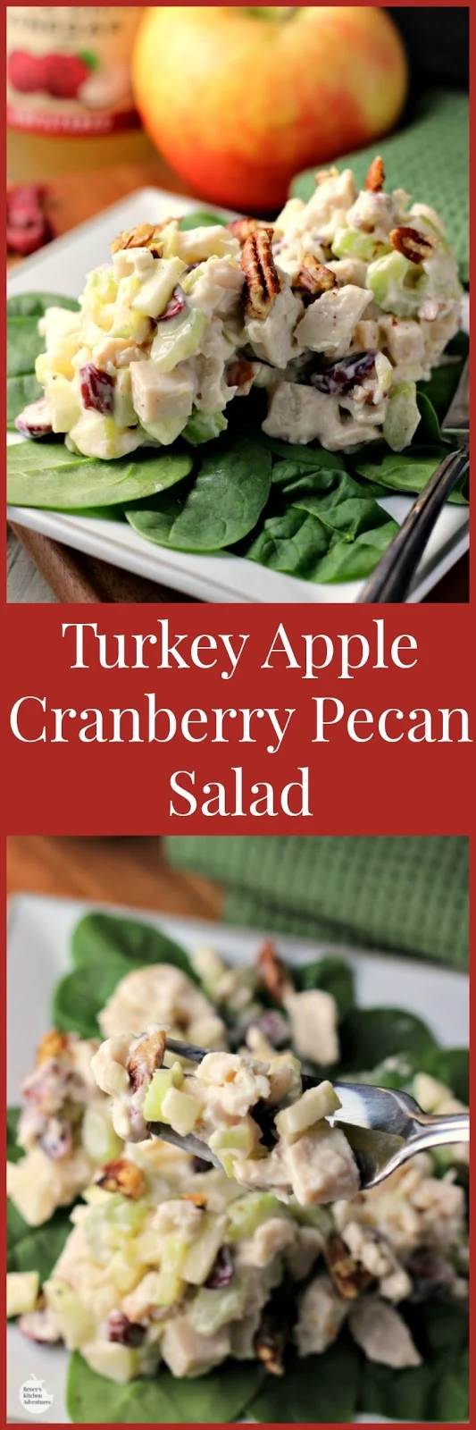 Turkey Apple Cranberry Pecan Salad | by Renee's Kitchen Adventures - an easy, healthy recipe for turkey salad. Makes a great lunch or dinner. Perfect way to re-purpose holiday leftovers!