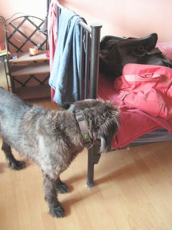 Susimania Opilein und die Handwerker