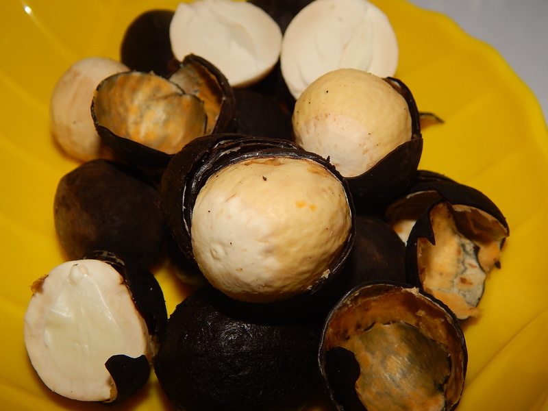 African walnuts “the emperor of all nuts”