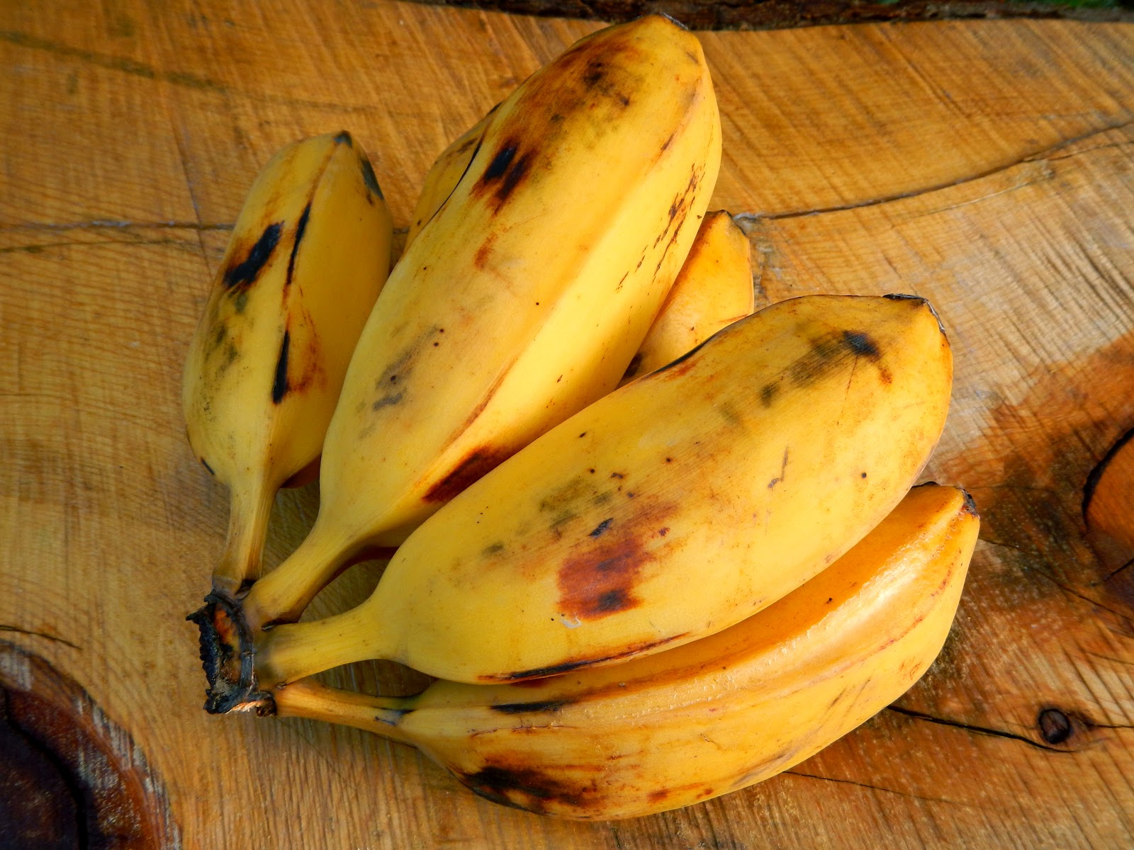 PaleoZone Fried Burro Bananas