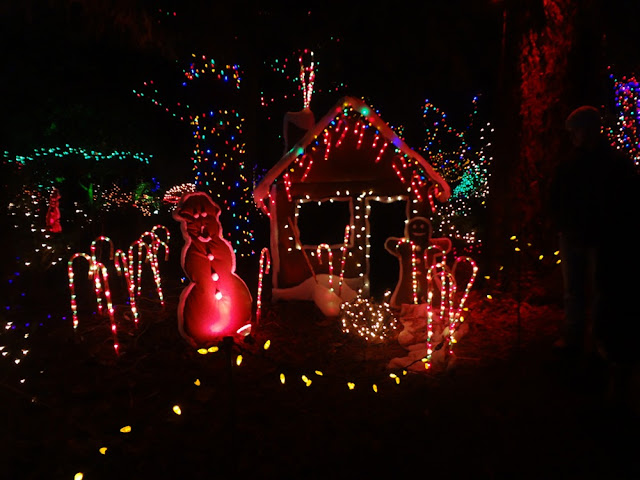 vandusen botanical garden festival of lights