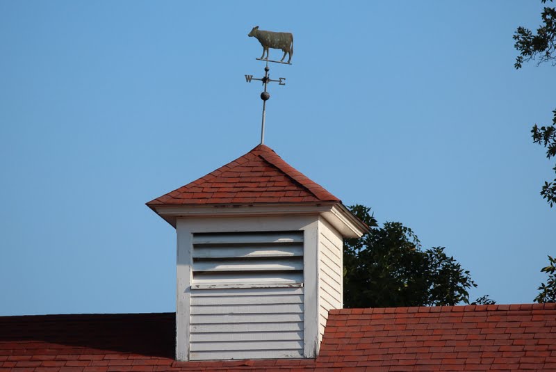 Rural Ramblings with Ruta More Cupolas and Weathervanes...