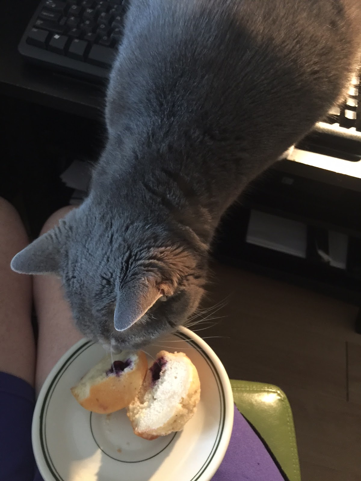 Of Cats and Cardstock Feline Friday Muffin Mania!