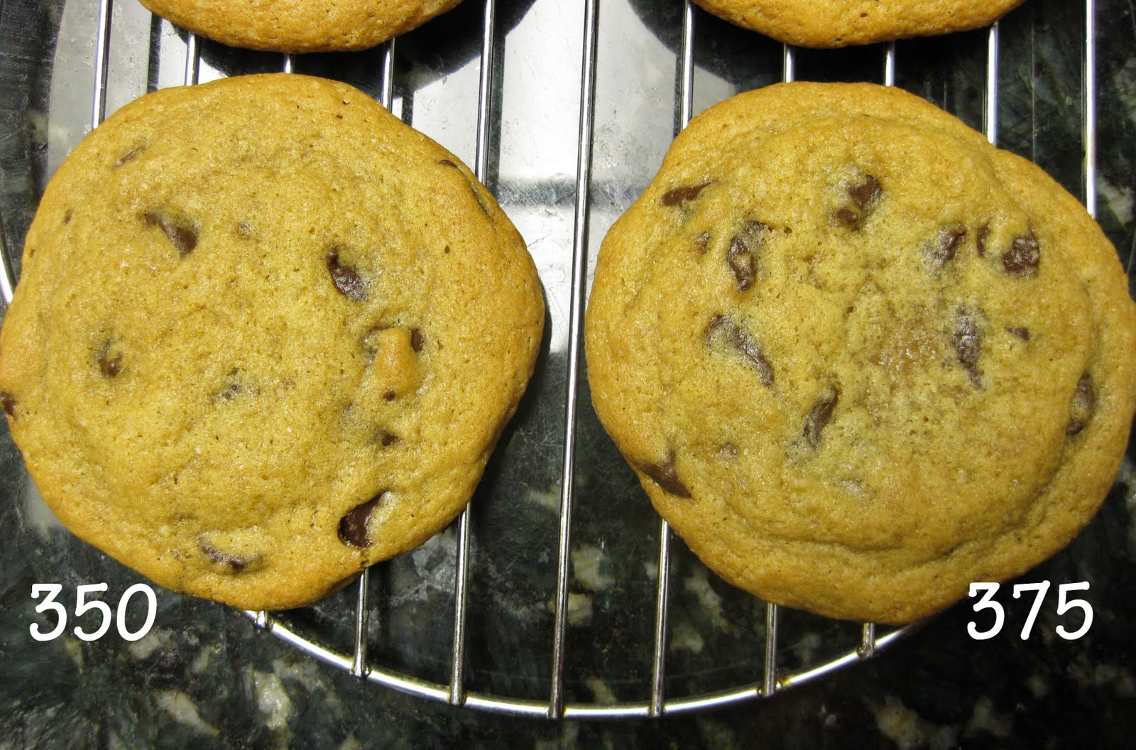 Not the Normal Teenage Fare The GREAT Chocolate Chip Cookie Experiment