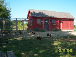 coop daileys hen font