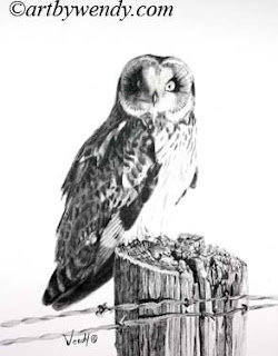 pencil drawing of a short-eared owl perched on an old fence post