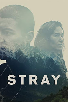 Stray 2018 Dvd