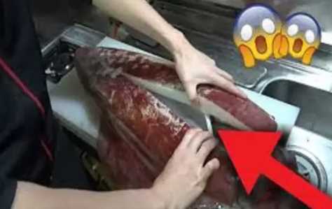 1000+ Gambar Cumi-cumi Raksasa HD Paling Keren 1000+ Gambar Cumi-cumi Raksasa HD Paling Keren