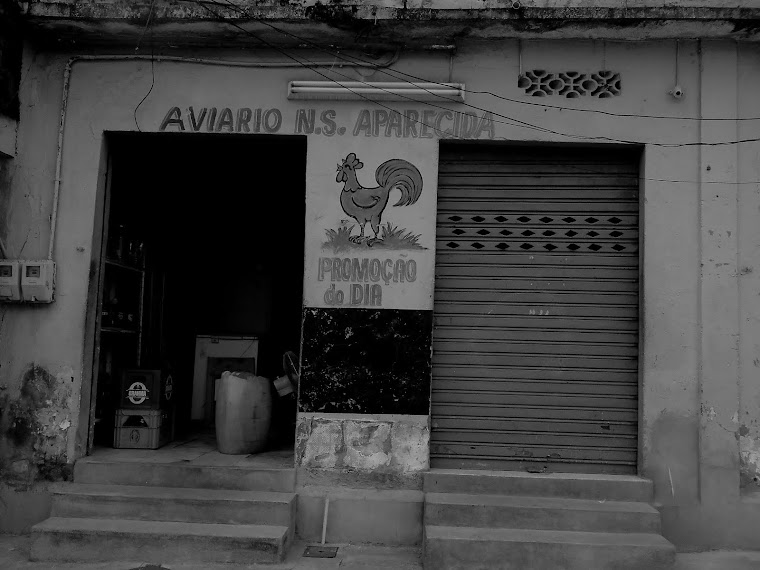 CA -aviario n.s. aparecida - rio de janeiro-RJ / BRASIL