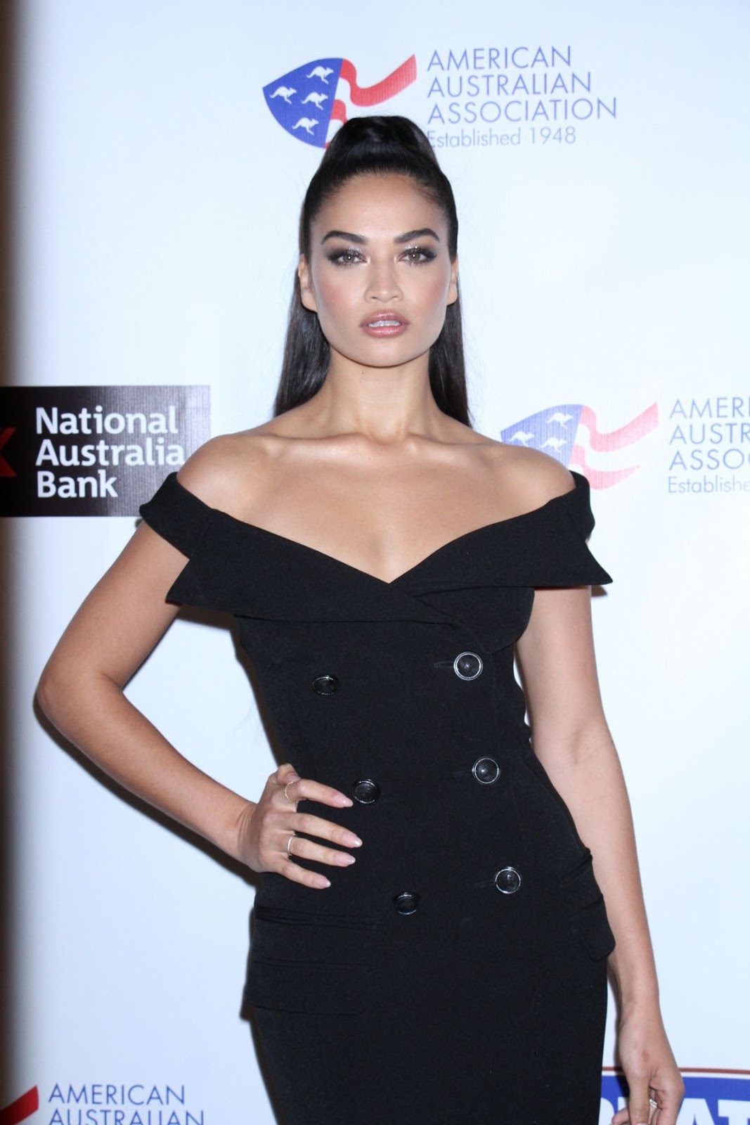 Shanina Shaik at American Australian Arts a Awards Dinner in New York