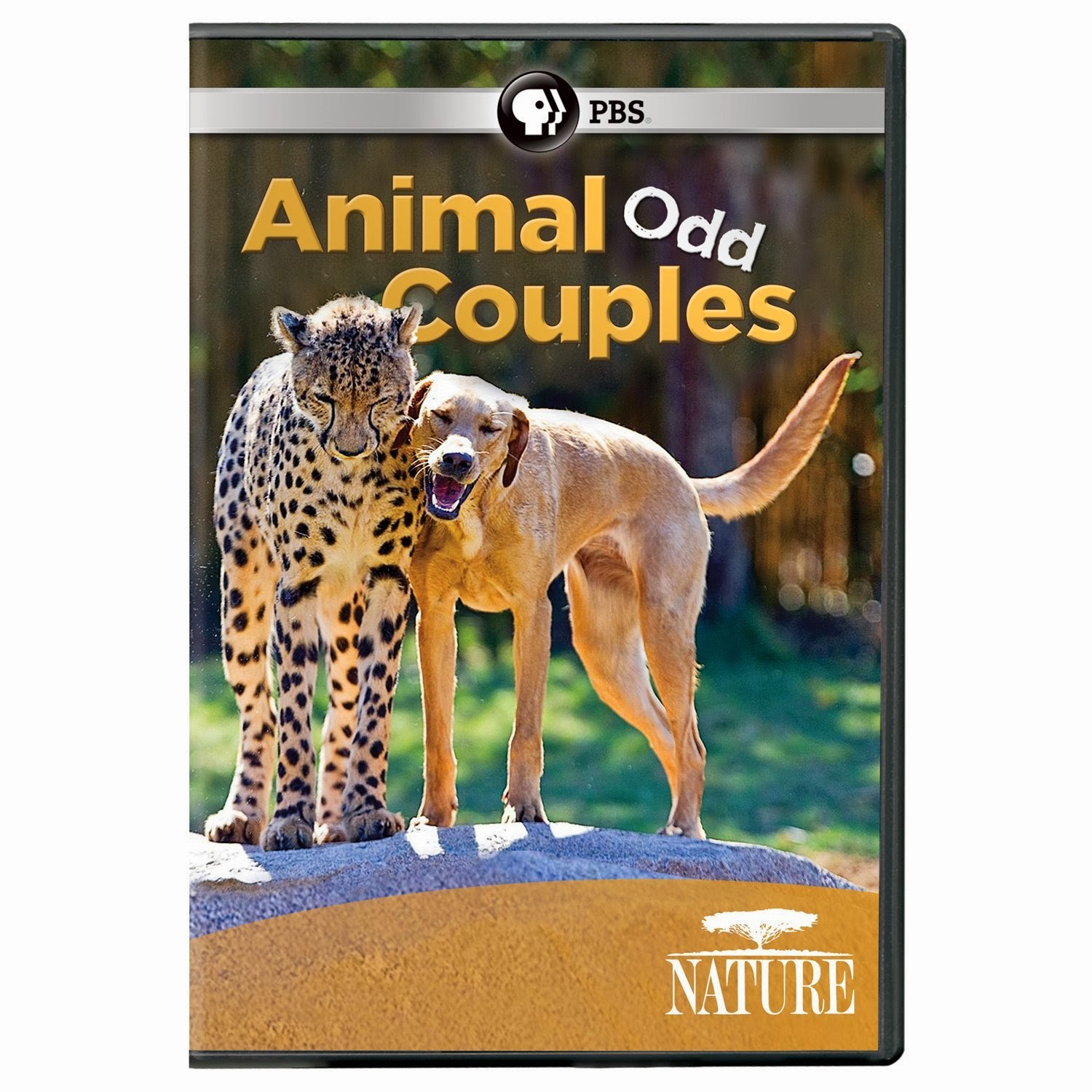 Animal coupling. PBS nature DVD. Odd animal.