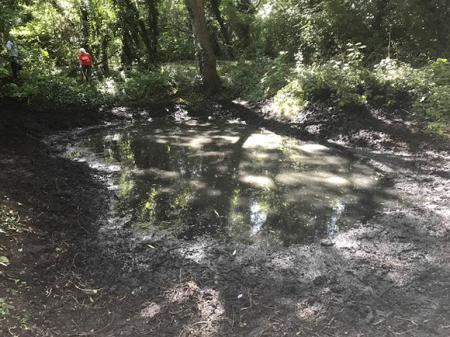 Debdale pond after being raked