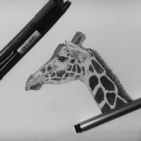 07-Giraffe-Paige-Bates-Stippling-Drawings-www-designstack-co
