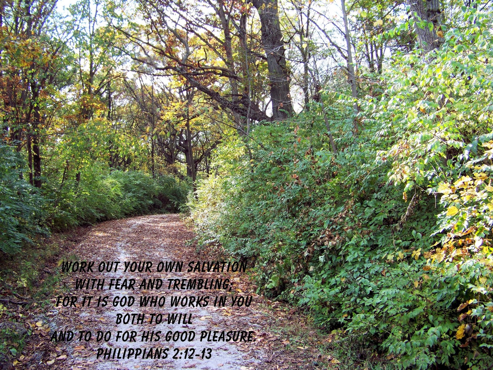 Following Jesus April 2014 following-jesus-april-2014