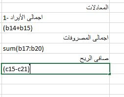 Fathy Financial Information تصميم قائمة الدخل وميزان المراجعة