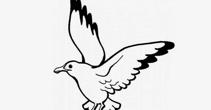 Seagull coloring page | Free Coloring Pages and Coloring Books for Kids