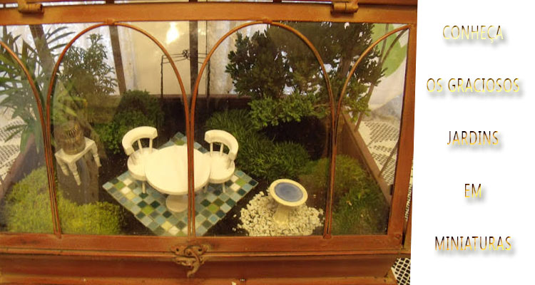 Jardins em vasos e outros recipientes, algo bem bacana para a decoração de sua residência. Vasos com mini jardins