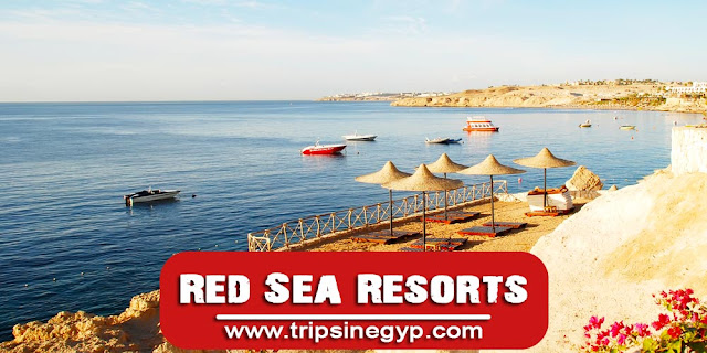 The Best Resorts in The Red Sea - www.tripsinegypt.com