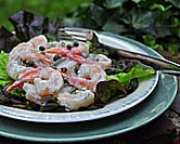 Cold Shrimp with Creamy Dill Sauce & Capers