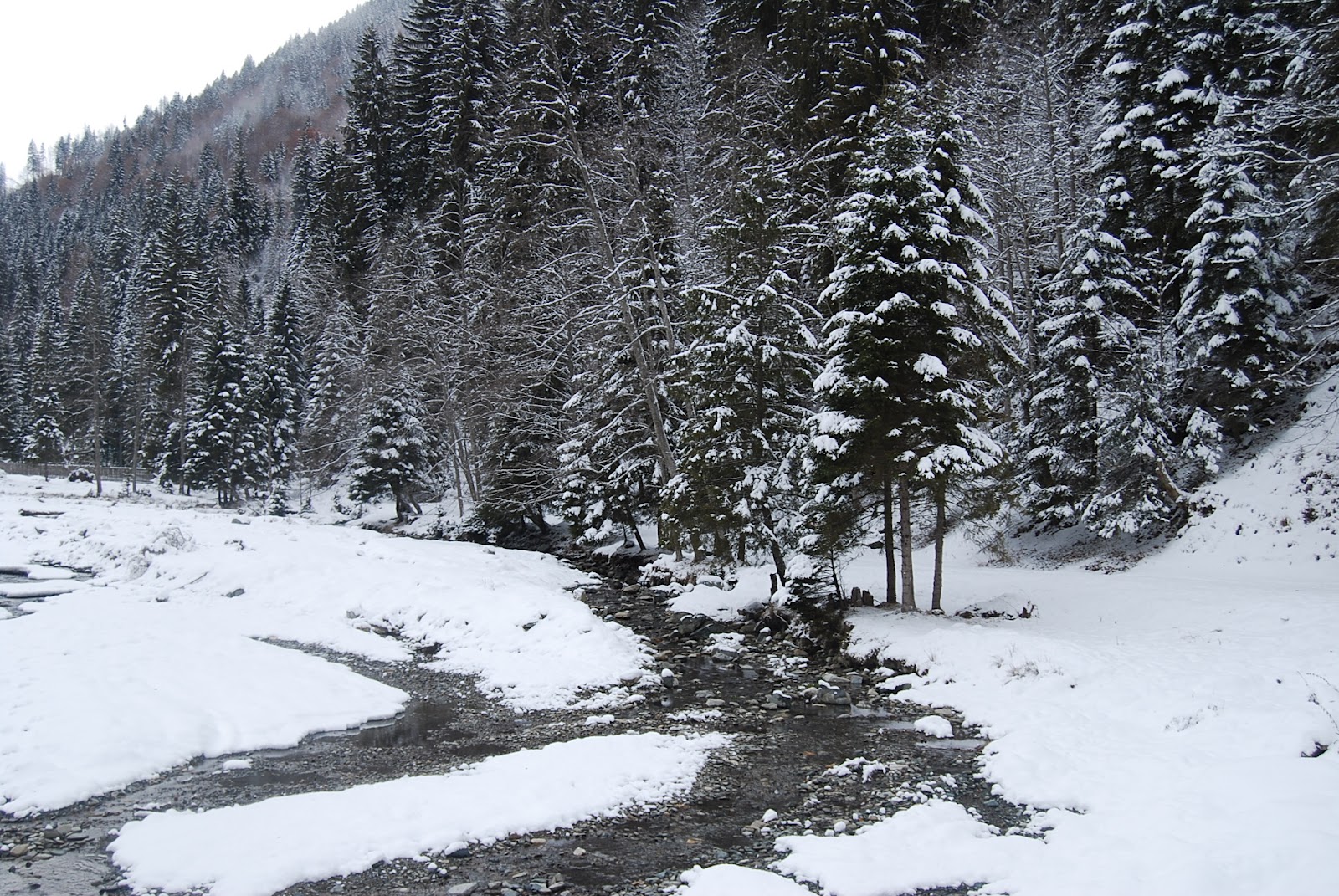 Romania - mountain creek in winter. 2012