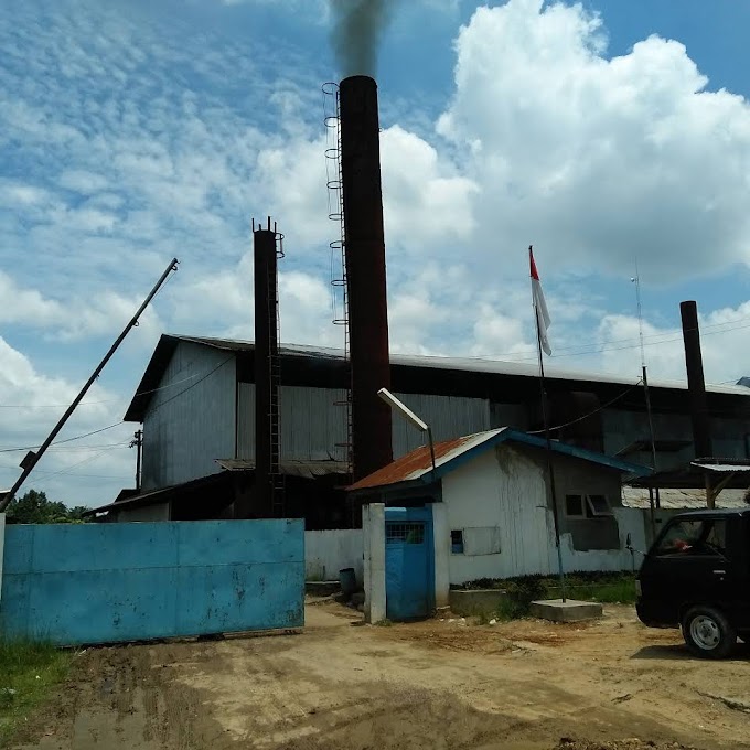 PT Mitra Niaga Sejati Jaya