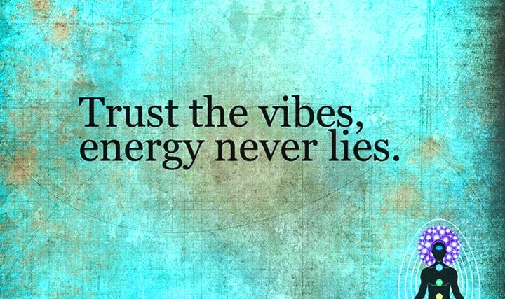 Quotes & Inspiration: Trust the vibes energy never lies.