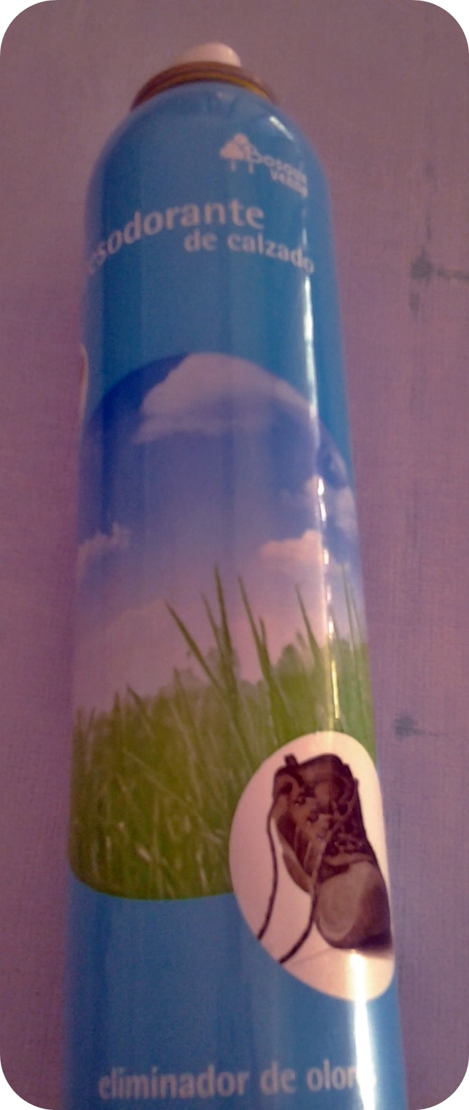 Desodorante calzado mercadona opiniones Clearance