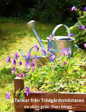 Här hittar du en lista över Trädgårdsbloggar indelade efter växtzon. Vilken bra idé!
