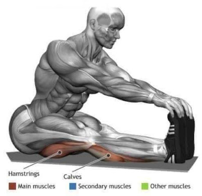 Muscles-Stretch-Exercise