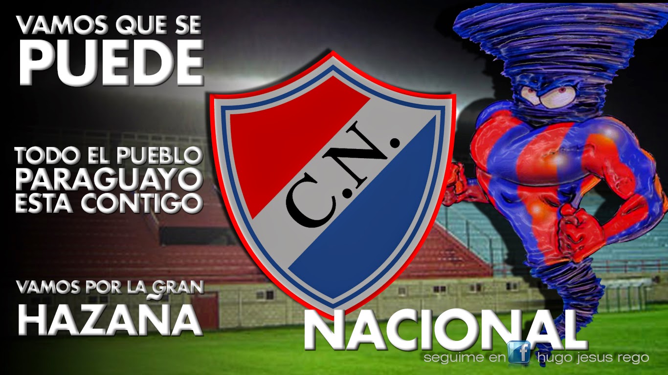 hujere Copa Libertadores 2014