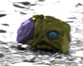 rain on your parade alien ship location rain on your parade alien ship location