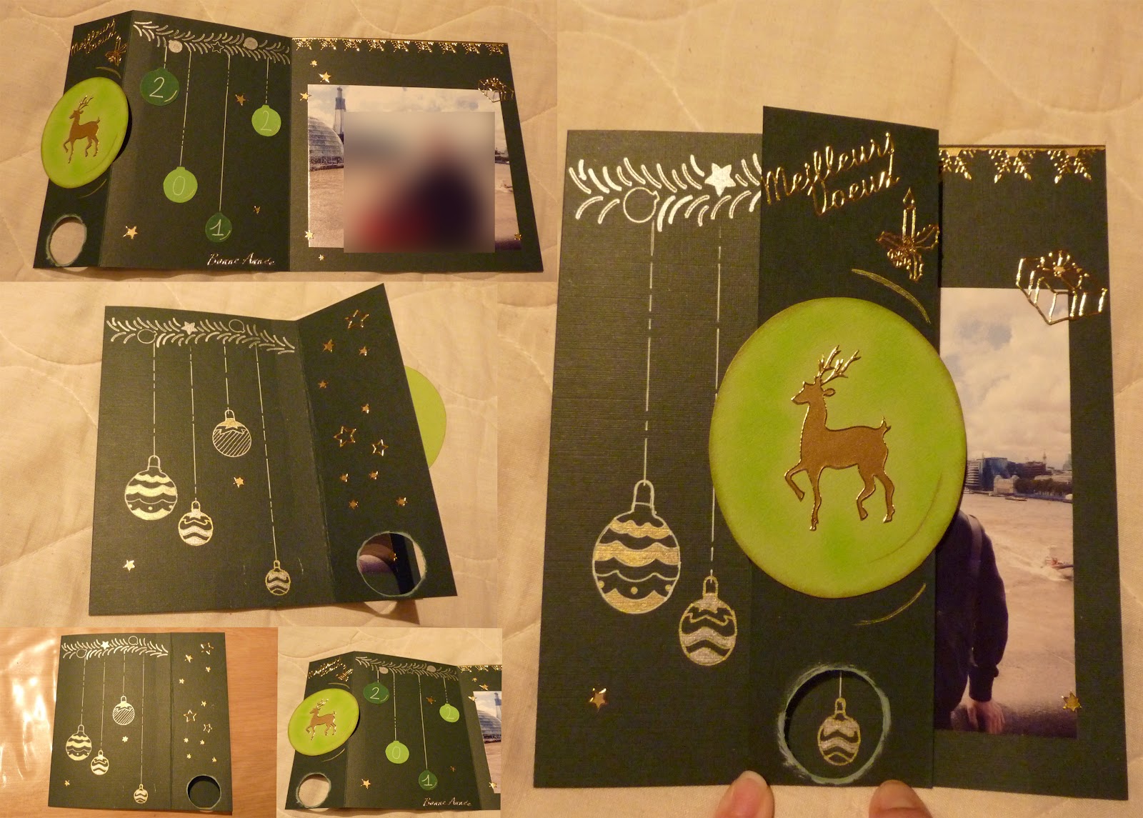 Exoterra Terrarium Polyvalent Pour Reptile-Amphibien 36 X 21 X 16 Cm10