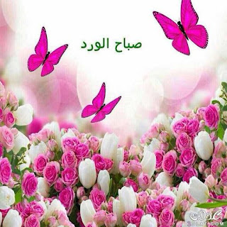 صباح الخير للحبيب بالصور صباح الخير للحبيب بالصور