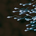 7 Important Tips For Preserving Your Sperm and Making It Healthy