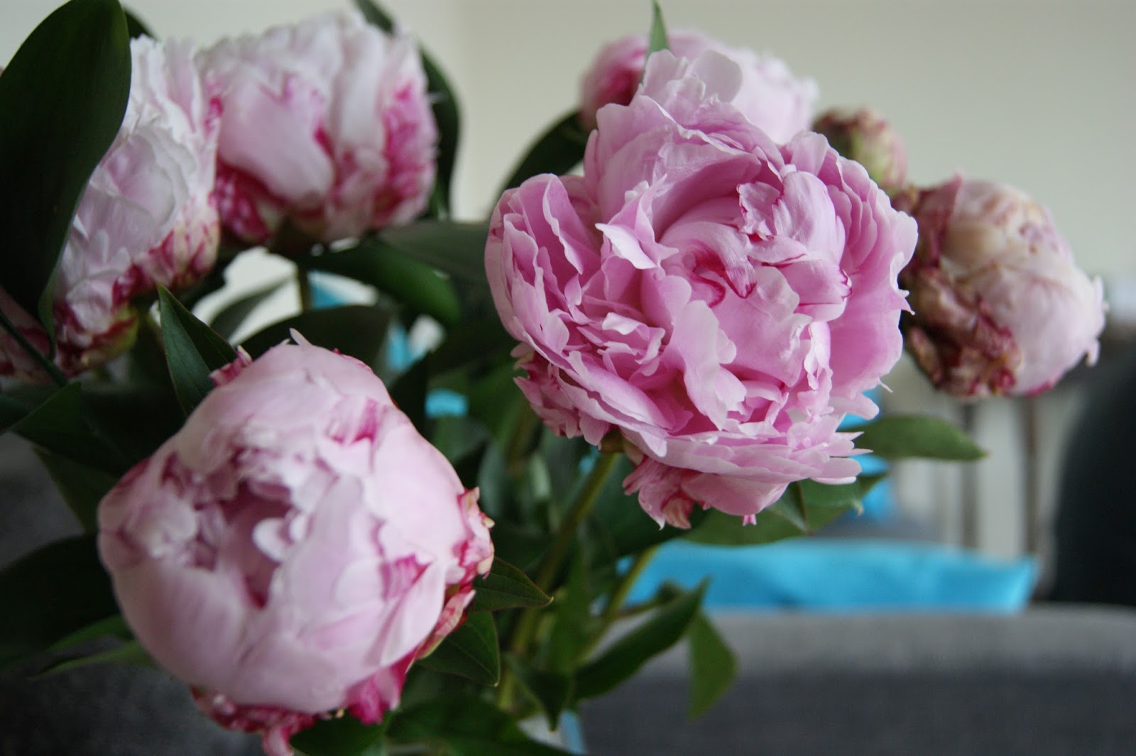 Pretty Peonies From Debenhams Flowers Frills N Spills