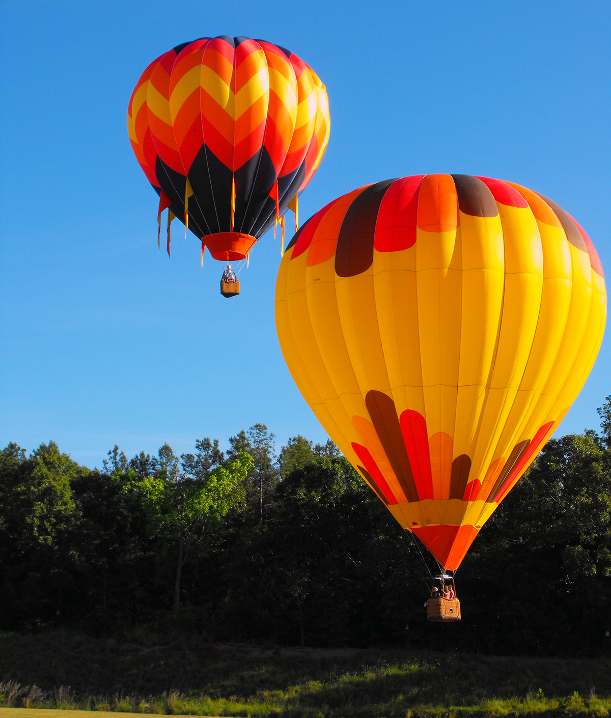 A Year On The Fly Chasing Balloons At Greenville SC Memorial Day Aloft