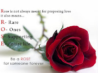 rose day wallpaper, dark red rose wallpaper for upcoming valentine day 2019 hd for free