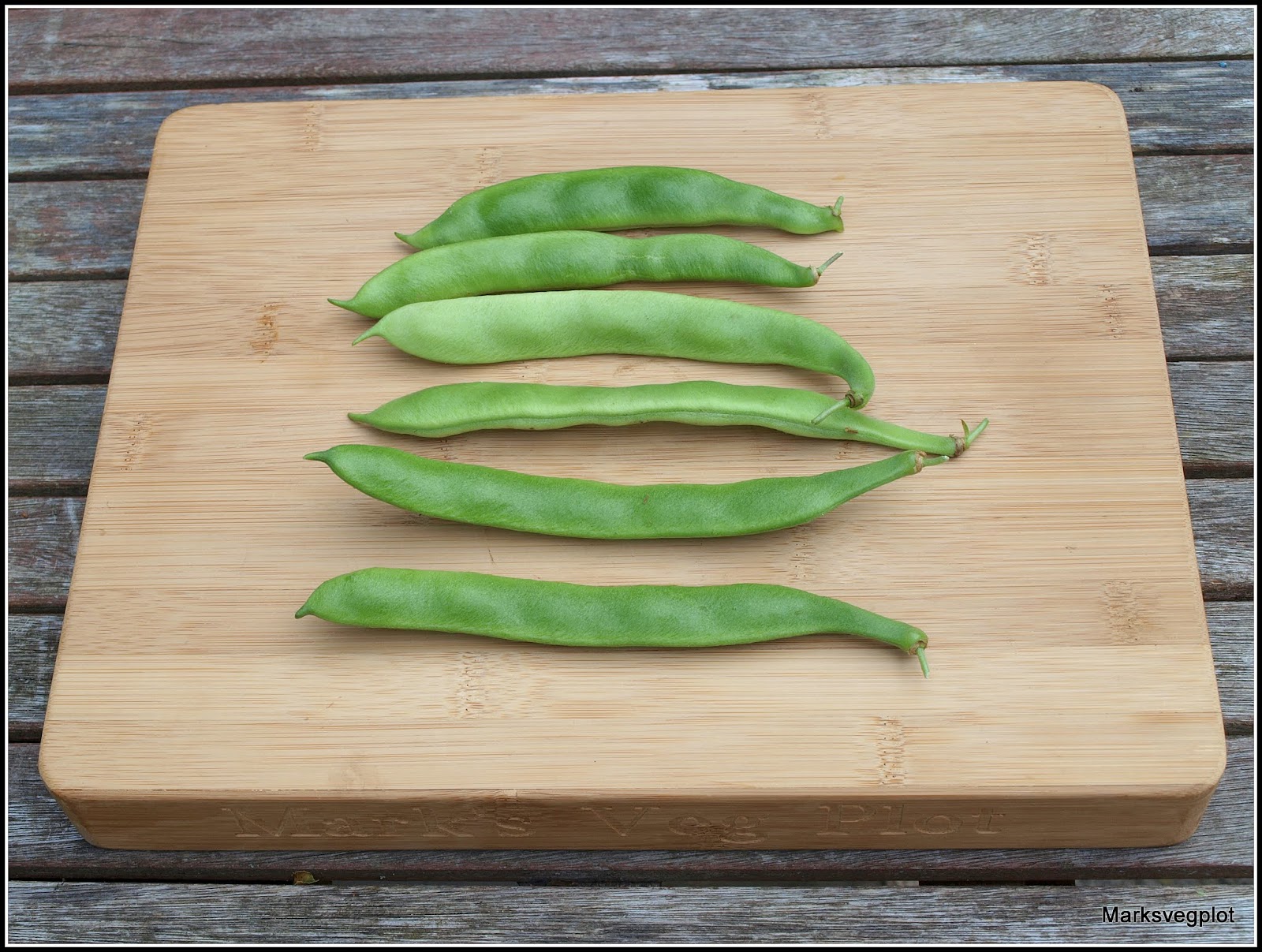 Mark's Veg Plot Runner Beans a contrast in styles