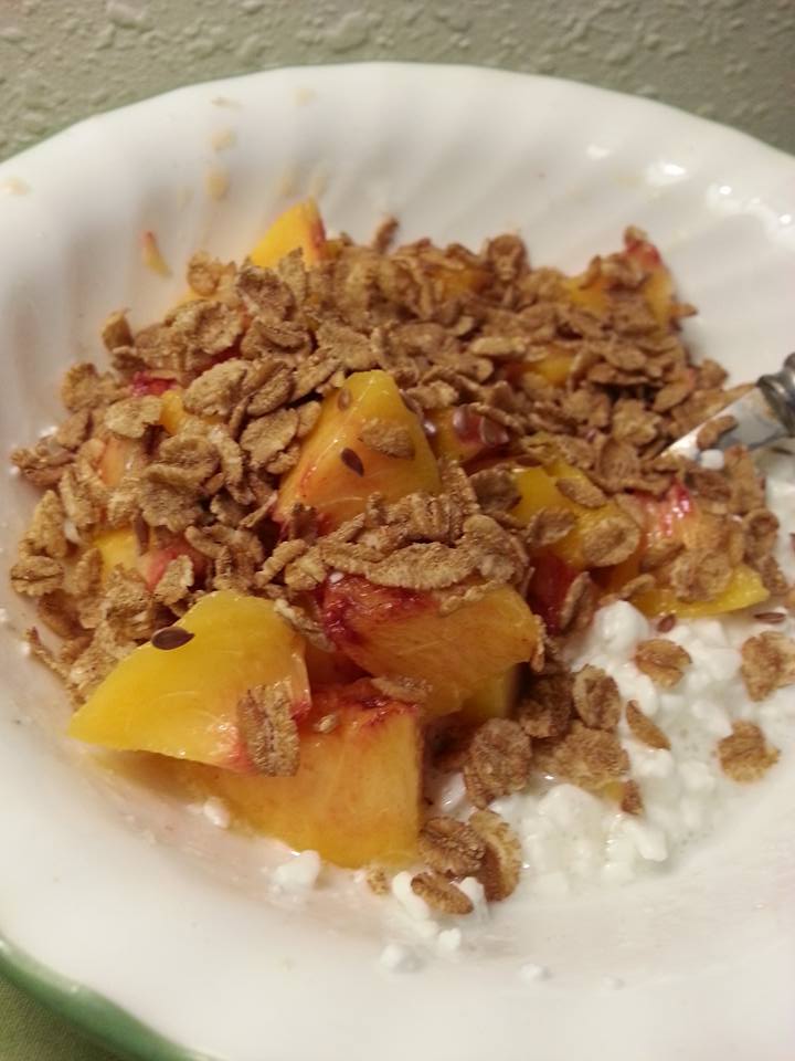 Peaches and Cottage Cheese THM E