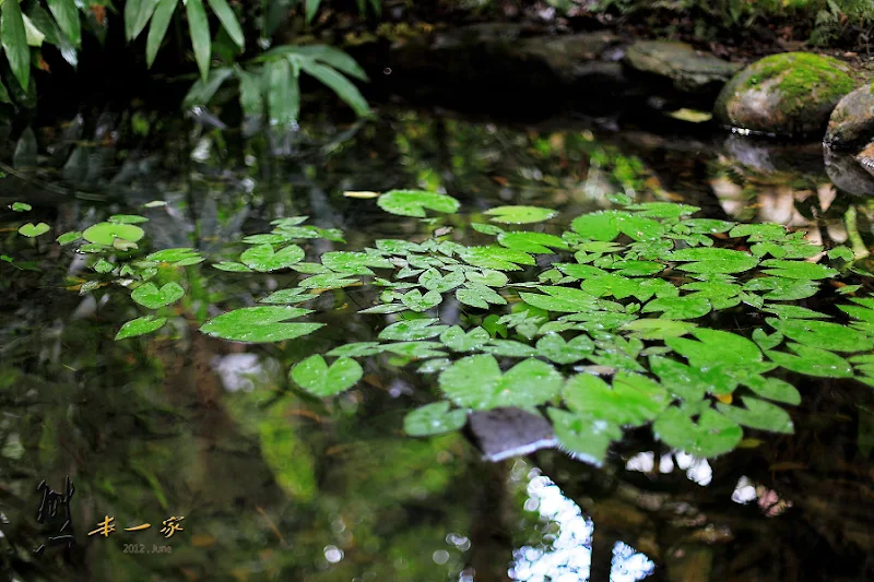苗栗三義民宿|福田瓦舍|近龍騰斷橋景點