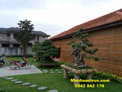 Mành trúc Mành trúc che nắng