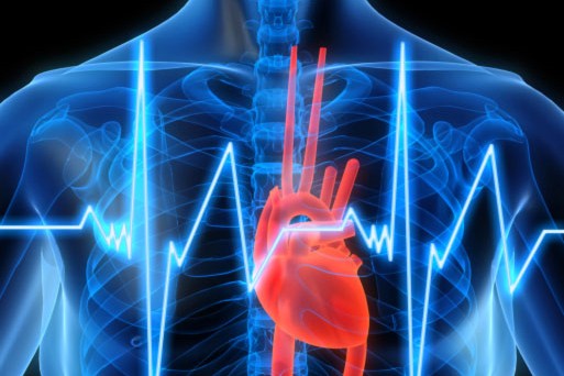 Palpitaciones del corazón para limpiar el hígado