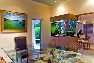 Model aquarium unik