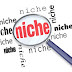 Boleh Di Coba! Niche Blog Populer